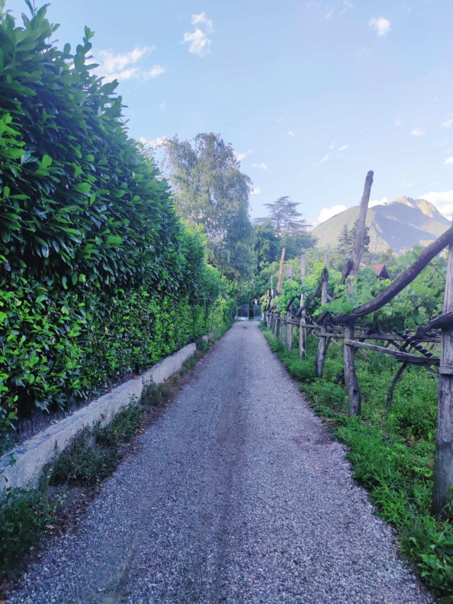 Apartment Nora S 1 - Panoramic Terrace & Bio Garden Meran